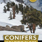 Conifers of the Pacific Slope Second Edition Paperback