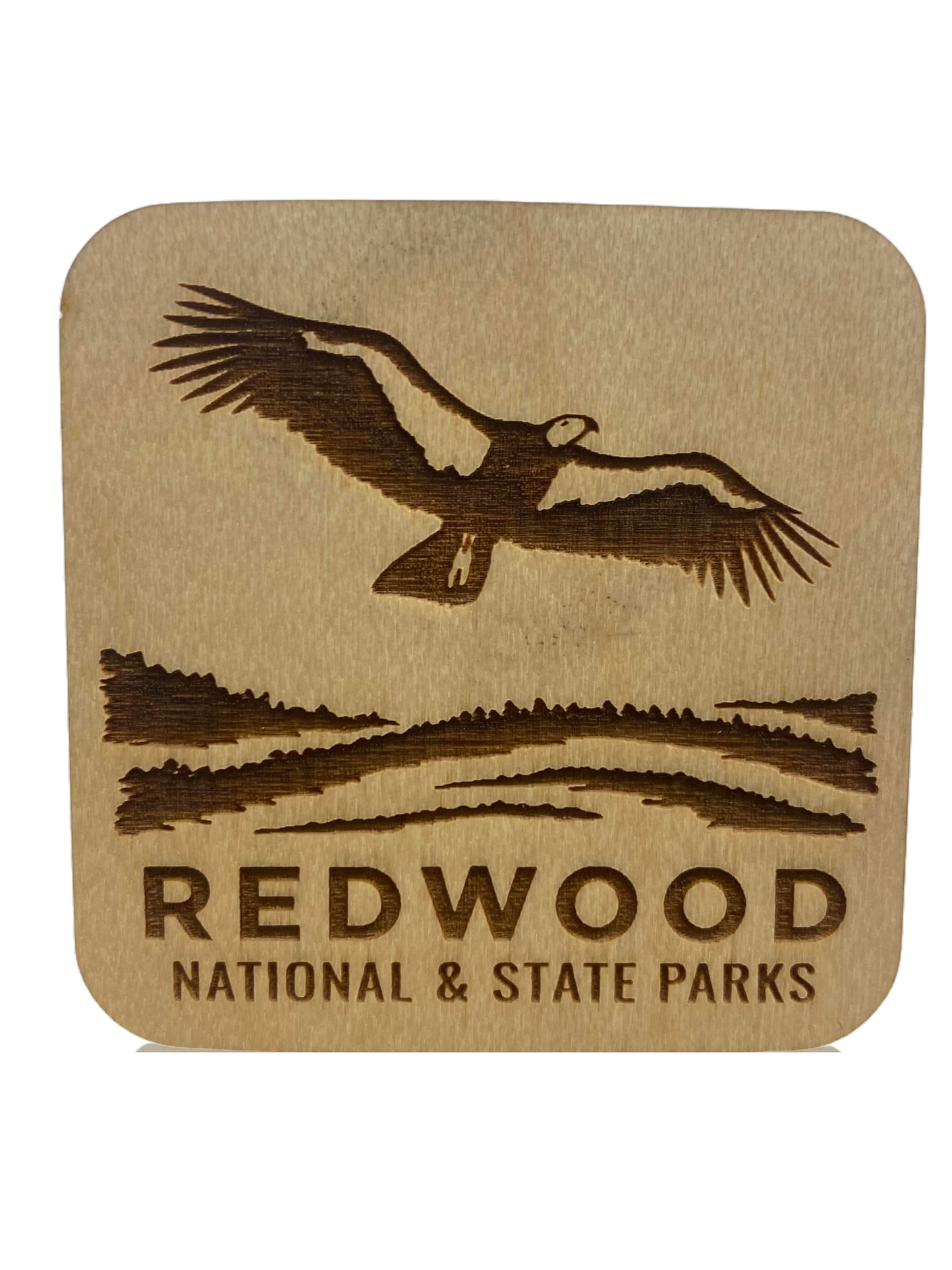 Redwood National & State Parks 2" Condor Bird Wood Magnet