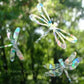 Window Gems Dragonflies