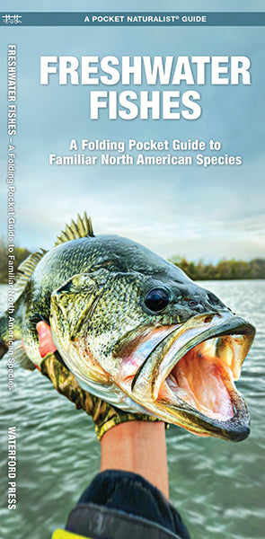 Freshwater Fishes Pocket Guide