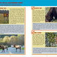 Hiking Humboldt Kids/Caminatas Para Ninos en Humboldt Paperback Book