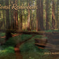 2026 Coast Redwoods Calendar