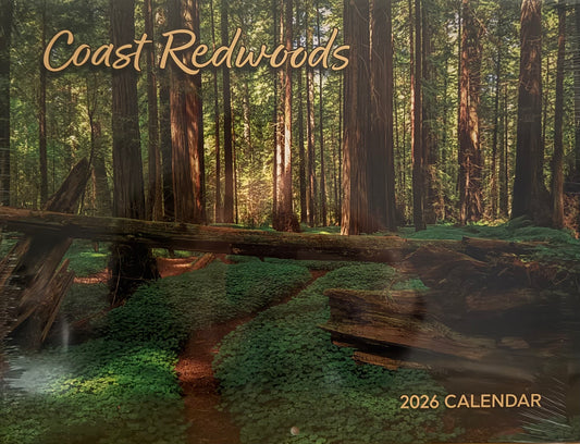 2026 Coast Redwoods Calendar