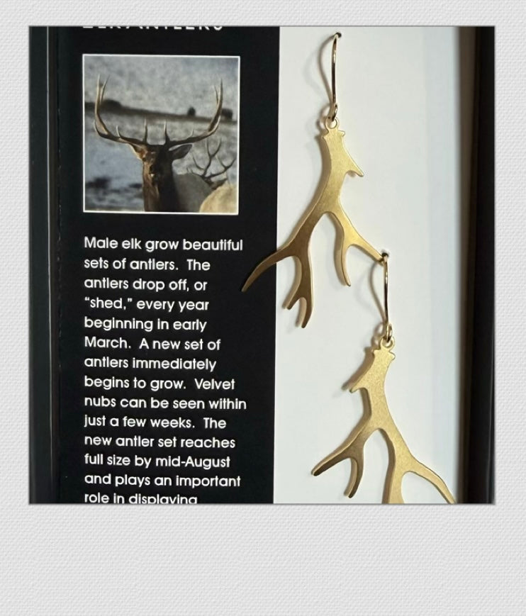 Elk Antler Earrings