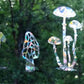 Window Gems Mushrooms