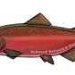 Redwood National and State Parks Chinook Salmon Sticker
