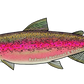 Redwood National and State Parks Steelhead Sticker