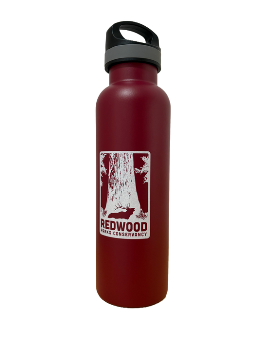 Redwood National Park Blue Print Tree - Water bottle
