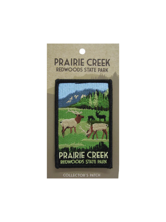 Prairie Creek Redwoods State Park Collector's Patch