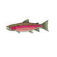 Redwood National and State Parks Steelhead Sticker