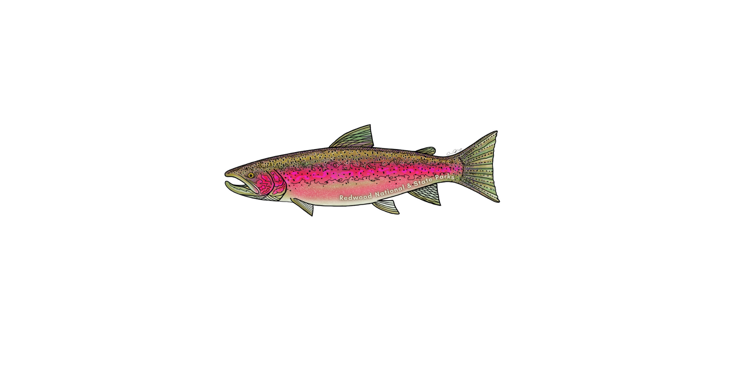 Redwood National and State Parks Steelhead Sticker