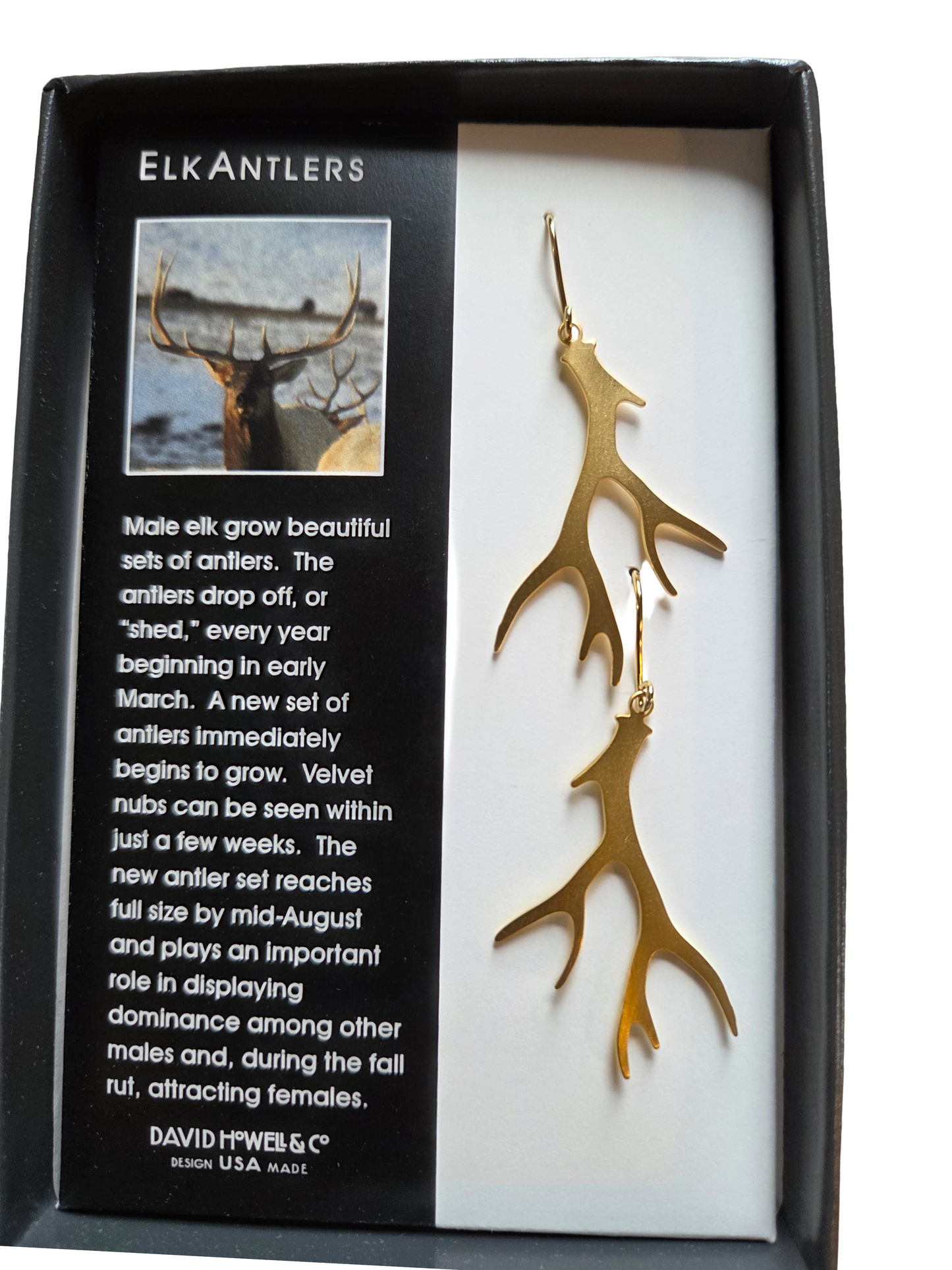 Elk Antler Earrings