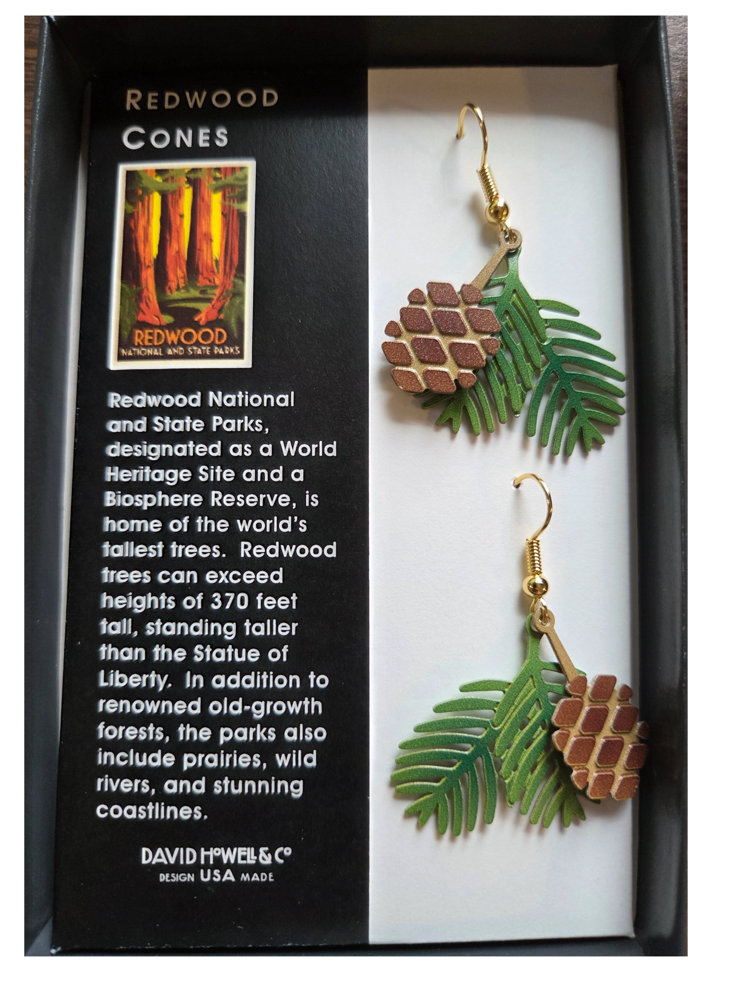 Redwood Cone Earrings