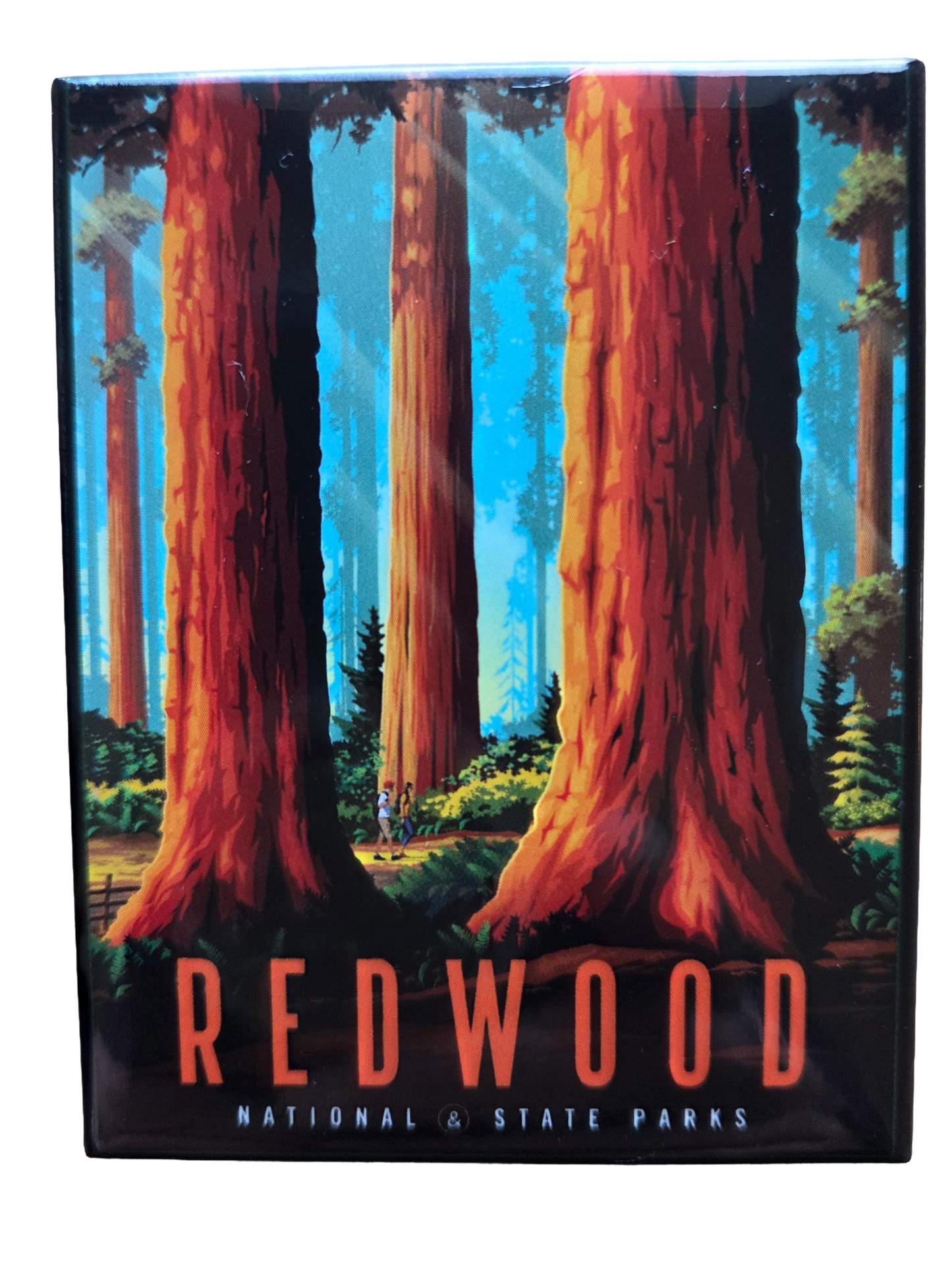 Redwood National & State Parks Cosgrove Magnet
