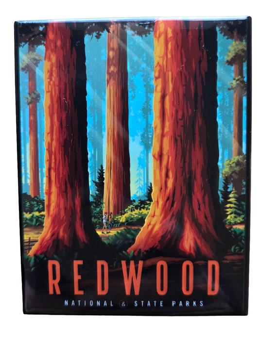 Redwood National & State Parks Cosgrove Magnet
