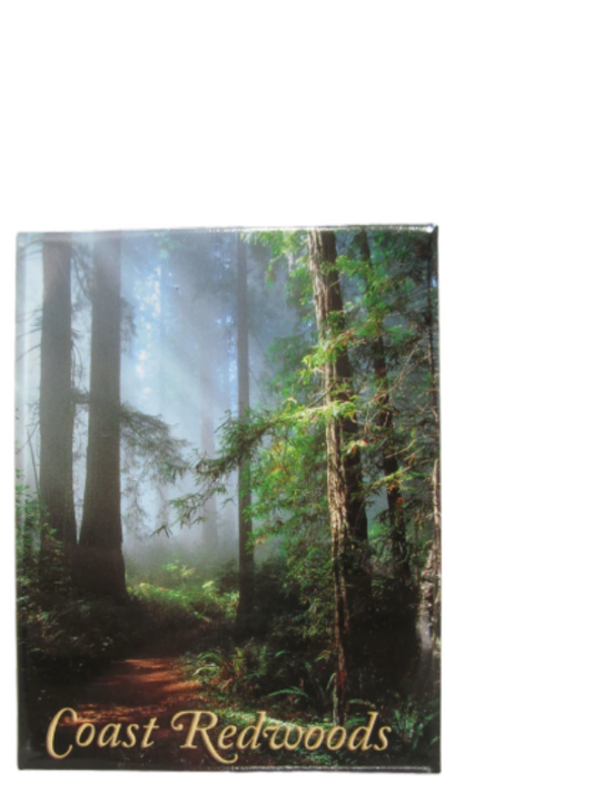 Coast Redwoods Magnet