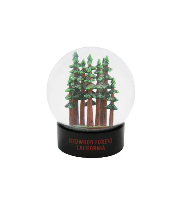 Redwood National Park Forest Fog Globe