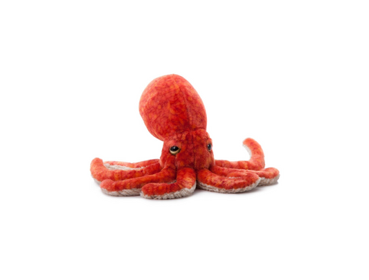 Plush Pacific Octopus