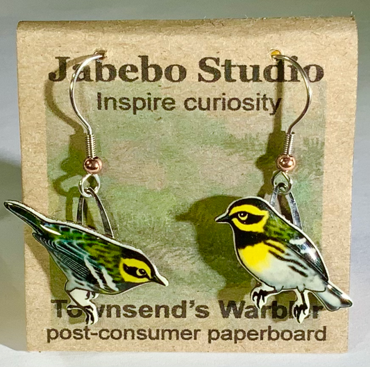 Jabebo Studio Townsend's Warbler