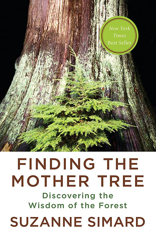 Finding the Mother Tree: Discovering the Wisdom of the Forest Paperback