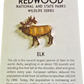 Elk Collector's Pin
