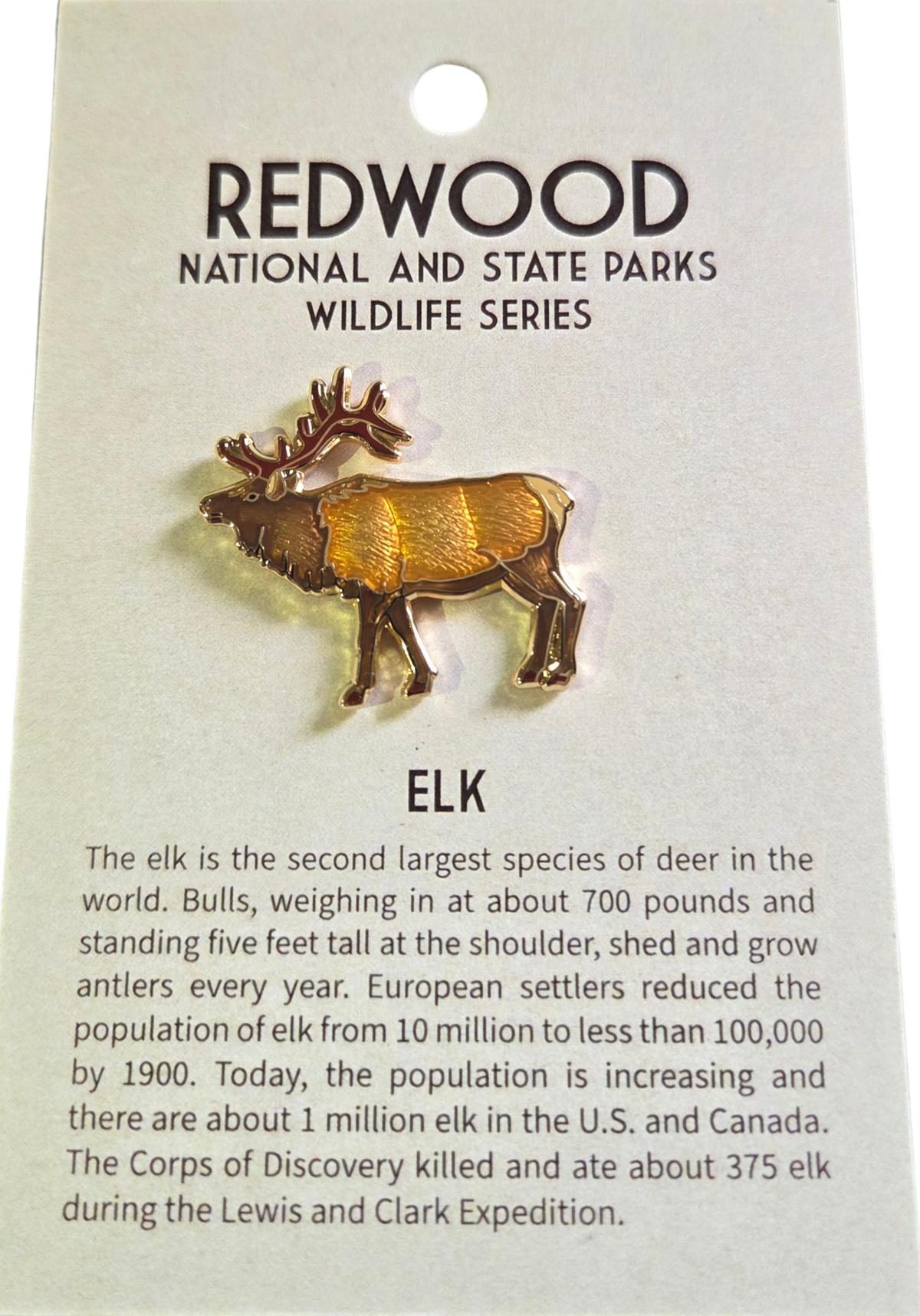 Elk Collector's Pin