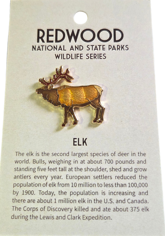 Elk Collector's Pin