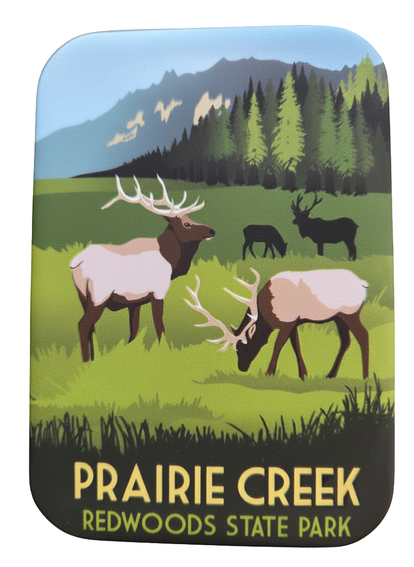 Prairie Creek Redwoods State Park Magnet