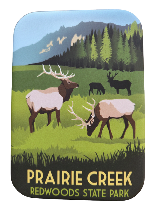 Prairie Creek Redwoods State Park Magnet