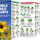 Edible Wild Plants: A Pocket Naturalist Guide