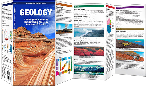Geology: A Pocket Naturalist Guide