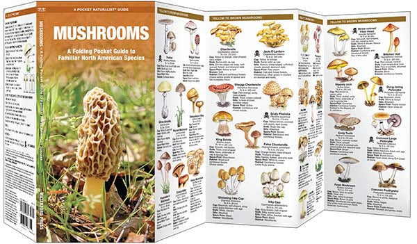 Mushrooms: A Pocket Naturalist Guide