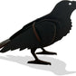 Raven 3D Wooden Kitset