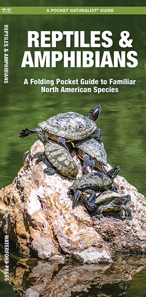 A Pocket Naturalist Guide: Reptiles and Amphibians