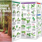 RNSP: A Pocket Naturalist Guide