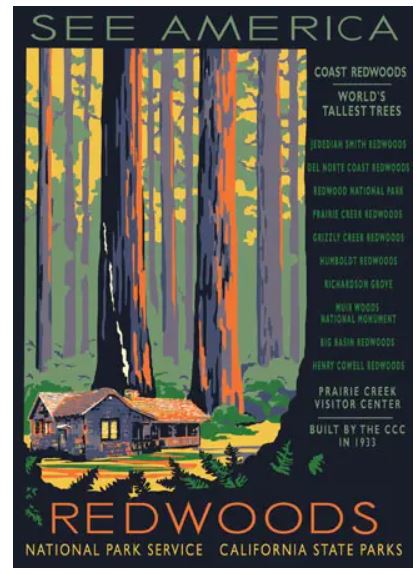 Ranger of the Lost Art: See America Redwoods Notecard Set