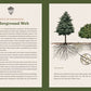KNOWING THE TREES Hardback Book