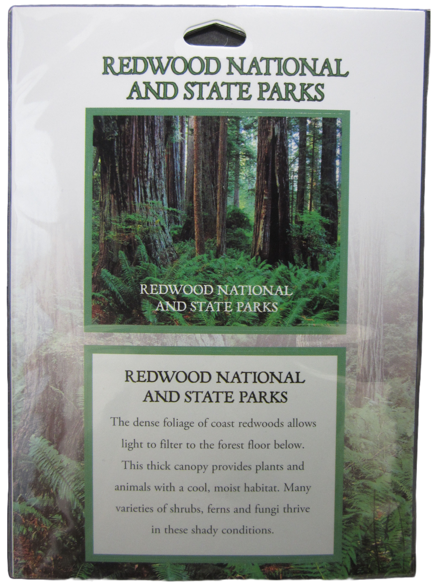 2.5" Redwood National & State Parks Passport Sticker