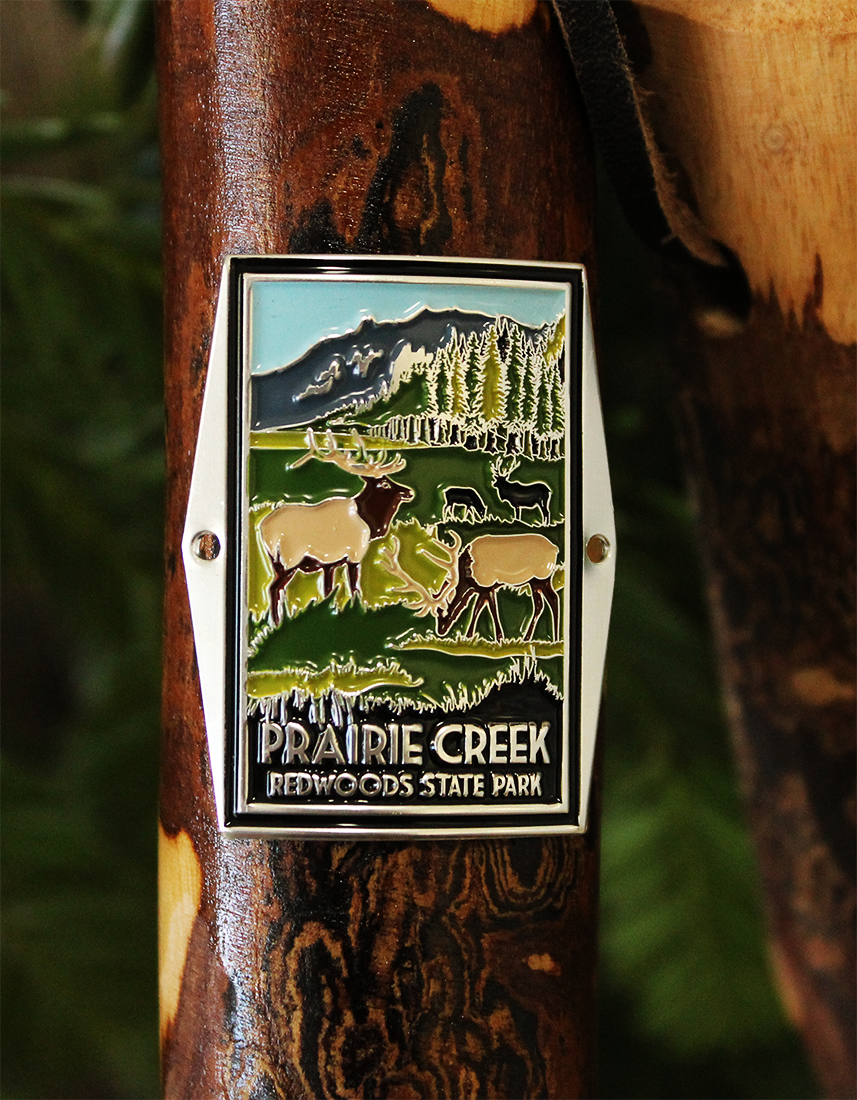 Prairie Creek Walking Stick Medallion (WSM)