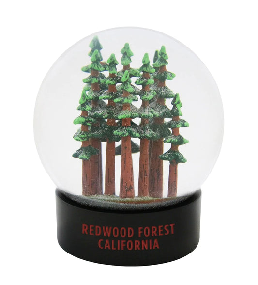 Redwood National Park Forest Fog Globe