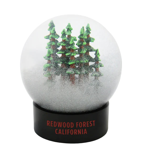 Redwood National Park Forest Fog Globe