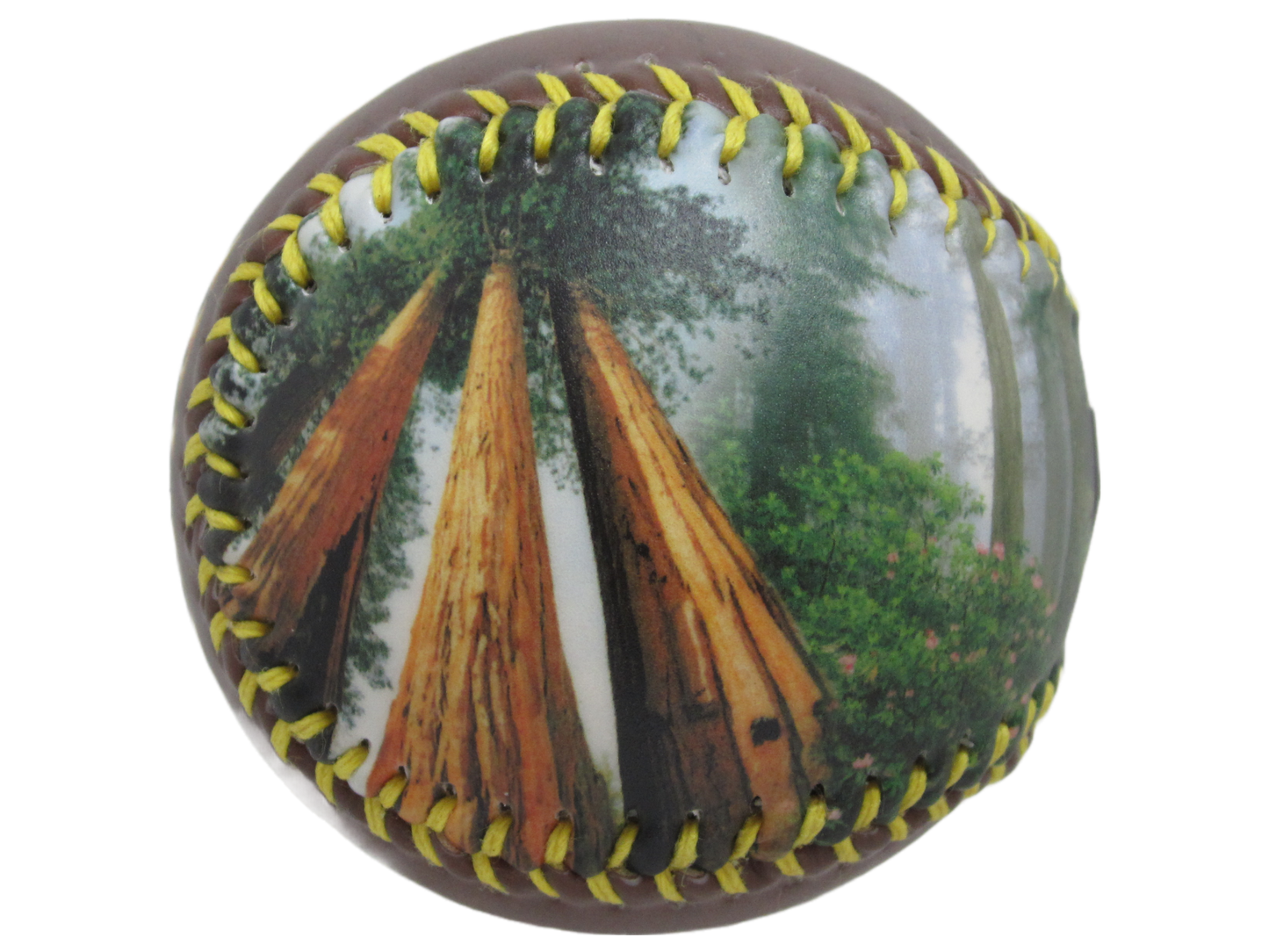 Redwood National & State Parks Baseball