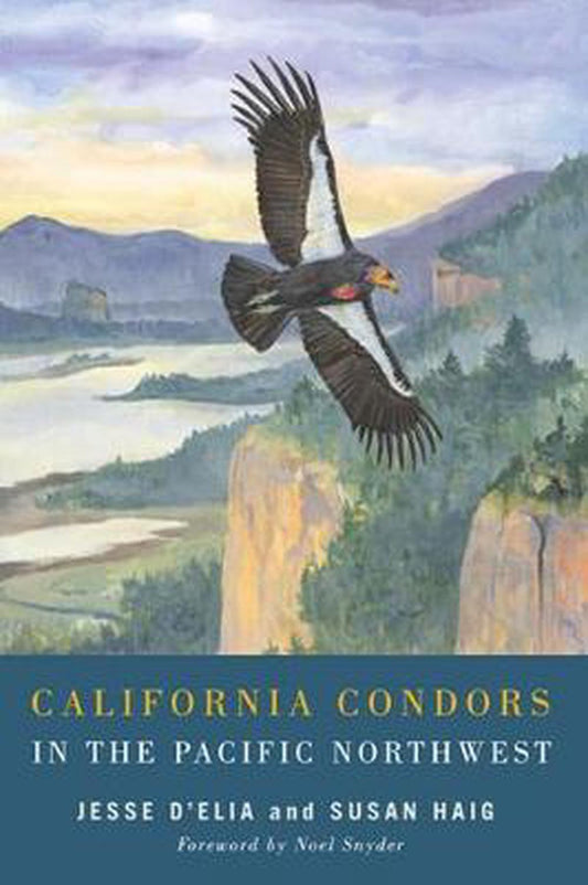 California Condors in the Pacific Northwest Paperback Book