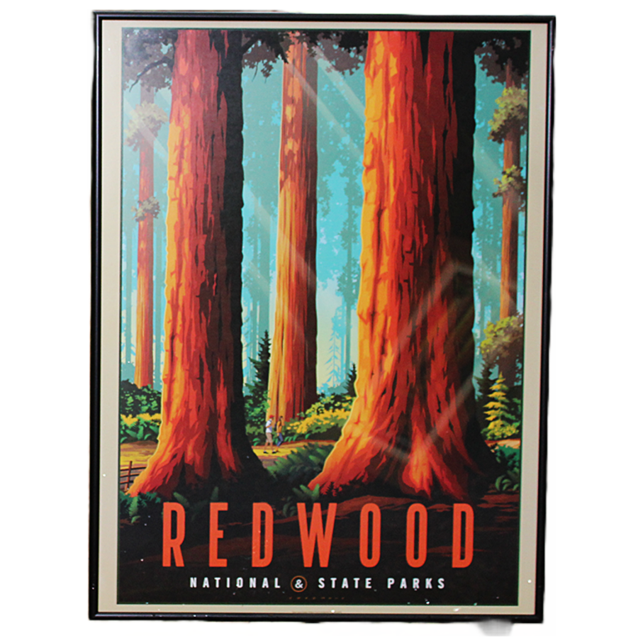 Redwood National & State Parks Cosgrove Poster