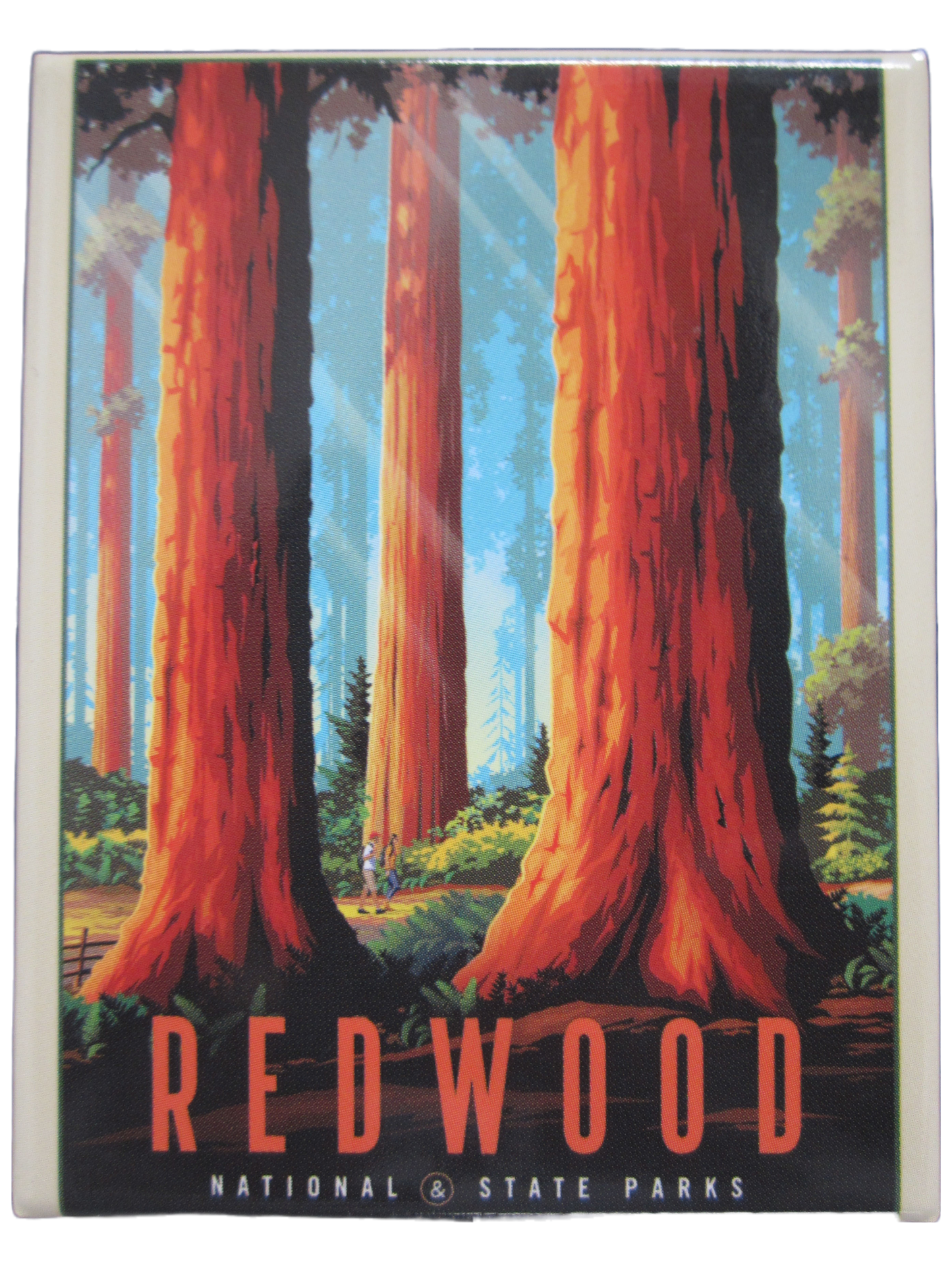 Redwood National & State Parks Cosgrove Magnet