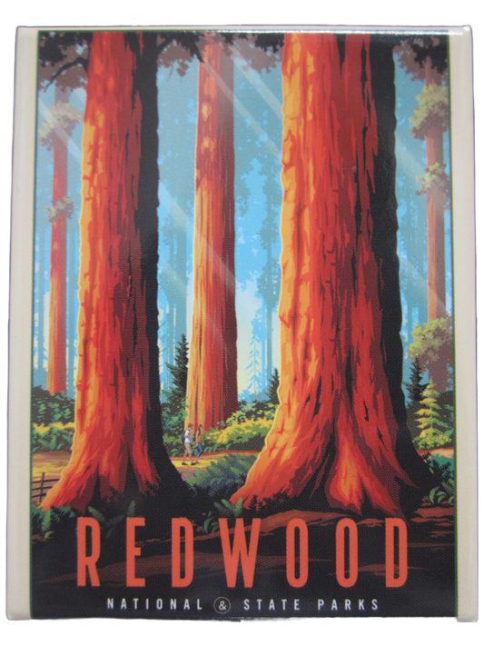 Redwood National & State Parks Cosgrove Magnet