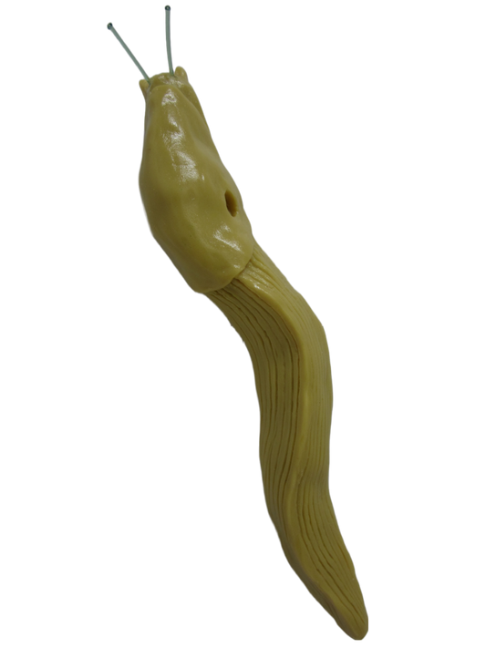 3D Yellow Banana Slug Magnet