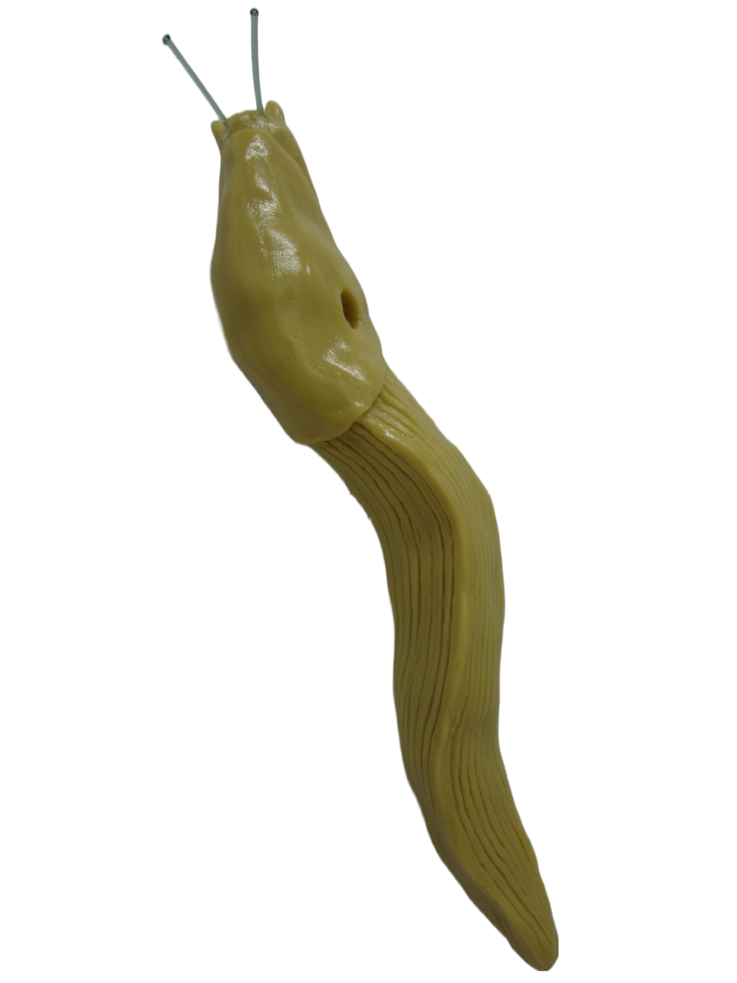 3D Yellow Banana Slug Magnet