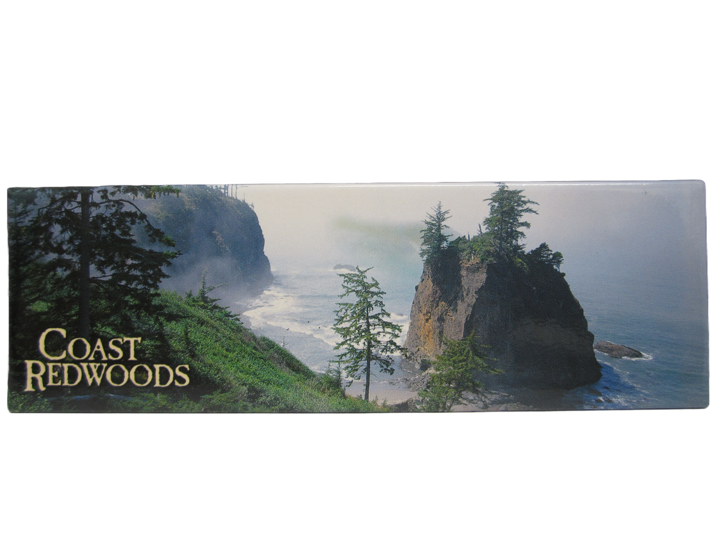 Coastal Redwoods Majesty Magnet