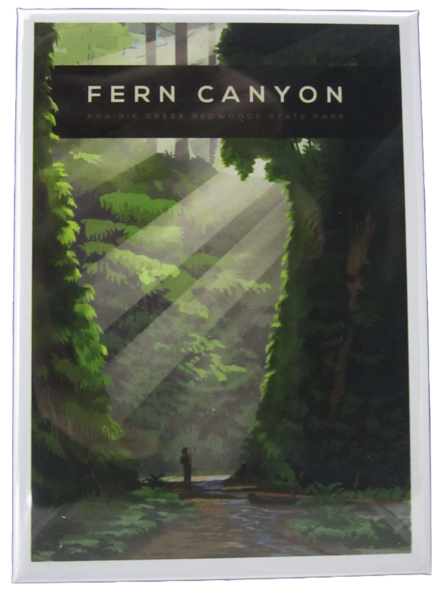 Fern Canyon Magnet
